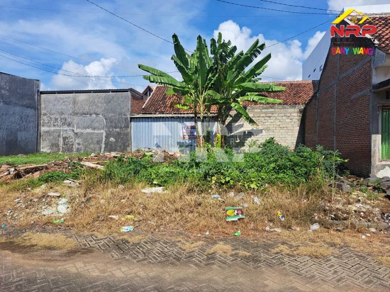 Dijual Tanah Murah Kavling Siap Bangun di Perum. Griya Dadapan Indah Banyuwangi  Dijual Tanah Murah Kavling Siap Bangun di Perum. Griya Dadapan Indah Banyuwangi  Dijual Tanah Murah Kavling Siap Bangun di Perum. Griya Dadapan Indah Banyuwangi&nbsp;
Lokasi Sangat Strategis Dekat dengan Wisata Banyuwangi Park dan NRP BANYUWANGI