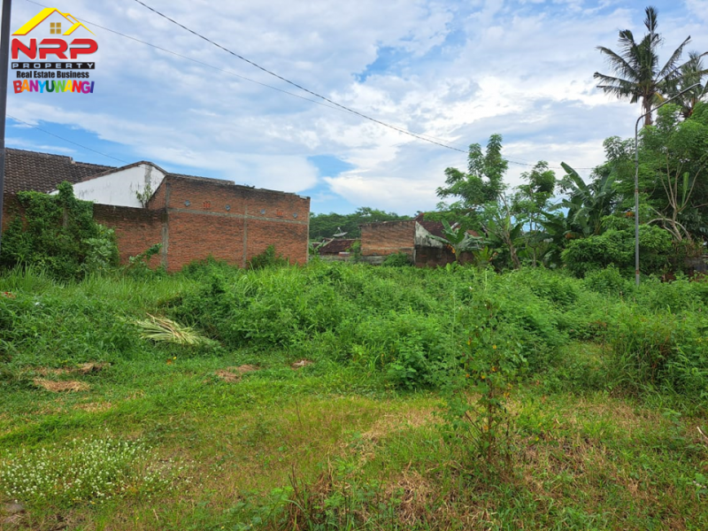 Dijual Tanah Murah Prospek di Belakang Santika Banyuwangi Dijual Tanah Murah Prospek di Belakang Santika Banyuwangi Dijual Tanah Murah Prospek di Belakang Santika Banyuwangi
Berada dipusat kota banyuwangi. Dekat dengan Fasilitas pendidikan dan Bisnis Komersil&nbsp;

Luas NRP BANYUWANGI