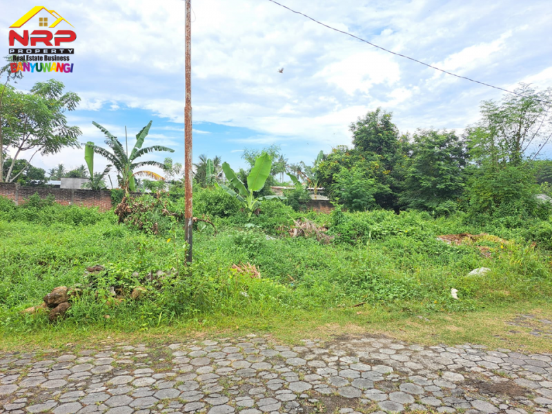 Dijual Tanah Murah Prospek di Sobo, Banyuwangi  Dijual Tanah Murah Prospek di Sobo, Banyuwangi  Dijual Tanah Murah Prospek di Sobo, Banyuwangi&nbsp;
Berada dipusat kota banyuwangi. Dekat dengan Fasilitas pendidikan dan Bisnis Komersil&nbsp;
Cocok untuk NRP BANYUWANGI