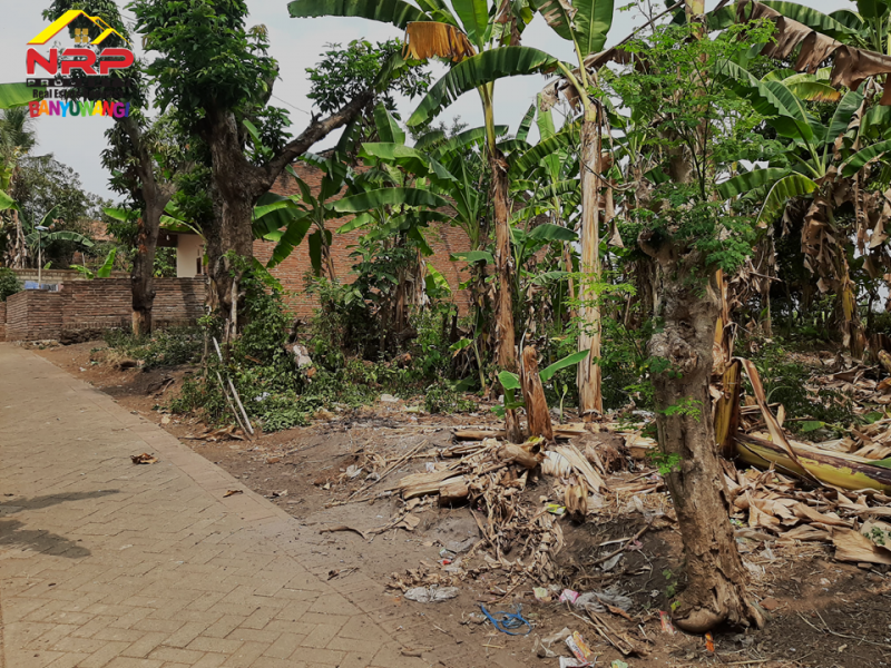 Dijual Tanah Murah Siap Bangun 50 Meter dari Jl. Utama rejosari, Glagah - Bwi  Dijual Tanah Murah Siap Bangun 50 Meter dari Jl. Utama rejosari, Glagah - Bwi  Dijual Tanah Murah Siap Bangun 50 Meter dari Jl. Utama rejosari, Glagah - Bwi&nbsp;
Cocok untuk hunian. Berada dikawasan homestay dan caffe&nbsp;
Akses NRP BANYUWANGI