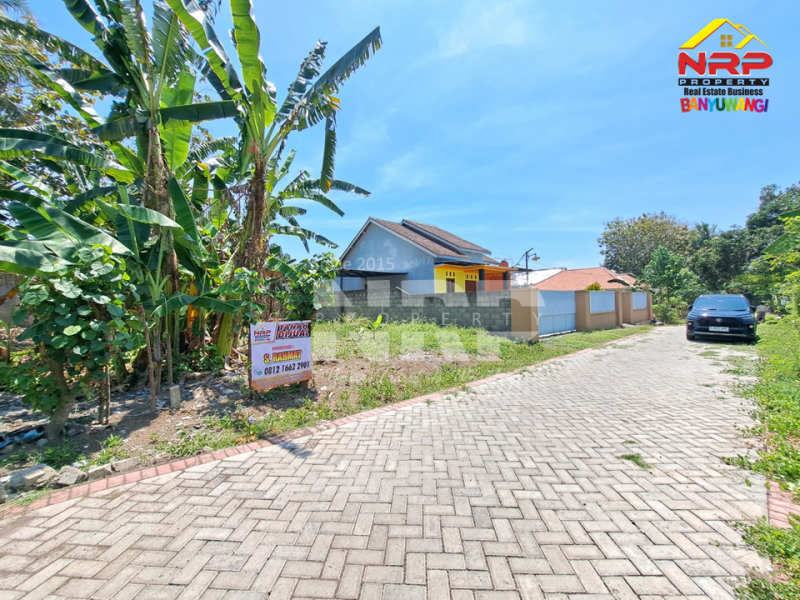 Dijual Tanah Murah Siap Bangun di Dekat Balai Desa Kalirejo, Banyuwangi  Dijual Tanah Murah Siap Bangun di Dekat Balai Desa Kalirejo, Banyuwangi  Dijual Tanah Murah Siap Bangun di Dekat Balai Desa Kalirejo, Banyuwangi&nbsp;
Cocok untuk hunian maupun investasi jangka panjang&nbsp;
100 Meter dari Jl. NRP BANYUWANGI