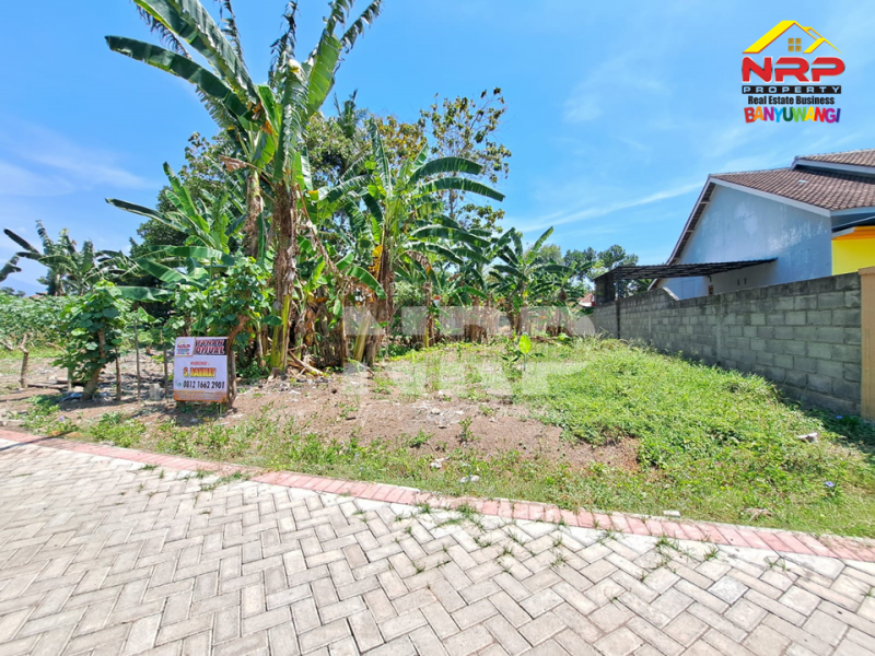 Dijual Tanah Murah Siap Bangun di Dekat Balai Desa Kalirejo, Banyuwangi  Dijual Tanah Murah Siap Bangun di Dekat Balai Desa Kalirejo, Banyuwangi  Dijual Tanah Murah Siap Bangun di Dekat Balai Desa Kalirejo, Banyuwangi&nbsp;
Cocok untuk hunian maupun investasi jangka panjang&nbsp;
100 Meter dari Jl. NRP BANYUWANGI