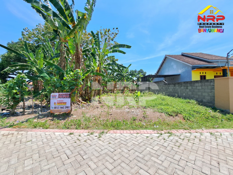 Dijual Tanah Murah Siap Bangun di Dekat Balai Desa Kalirejo, Banyuwangi  Dijual Tanah Murah Siap Bangun di Dekat Balai Desa Kalirejo, Banyuwangi  Dijual Tanah Murah Siap Bangun di Dekat Balai Desa Kalirejo, Banyuwangi&nbsp;
Cocok untuk hunian maupun investasi jangka panjang&nbsp;
100 Meter dari Jl. NRP BANYUWANGI