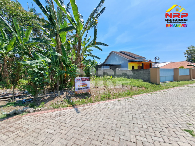 Dijual Tanah Murah Siap Bangun di Dekat Balai Desa Kalirejo, Banyuwangi  Dijual Tanah Murah Siap Bangun di Dekat Balai Desa Kalirejo, Banyuwangi  Dijual Tanah Murah Siap Bangun di Dekat Balai Desa Kalirejo, Banyuwangi&nbsp;
Cocok untuk hunian maupun investasi jangka panjang&nbsp;
100 Meter dari Jl. NRP BANYUWANGI