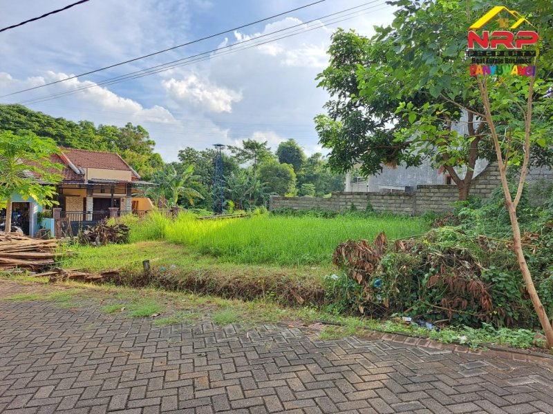 Dijual Tanah Murah Siap Bangun di Kalipuro - Banyuwangi  Dijual Tanah Murah Siap Bangun di Kalipuro - Banyuwangi  Dijual Tanah Murah Siap Bangun di Kalipuro - Banyuwangi &nbsp;
Cocok Untuk Hunian , Padat Penduduk. Lingkungan Asri, Nyaman dan Aman.

Luas Tanah : 86 NRP BANYUWANGI