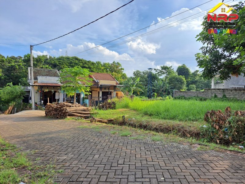 Dijual Tanah Murah Siap Bangun di Kalipuro - Banyuwangi  Dijual Tanah Murah Siap Bangun di Kalipuro - Banyuwangi  Dijual Tanah Murah Siap Bangun di Kalipuro - Banyuwangi &nbsp;
Cocok Untuk Hunian , Padat Penduduk. Lingkungan Asri, Nyaman dan Aman.

Luas Tanah : 86 NRP BANYUWANGI