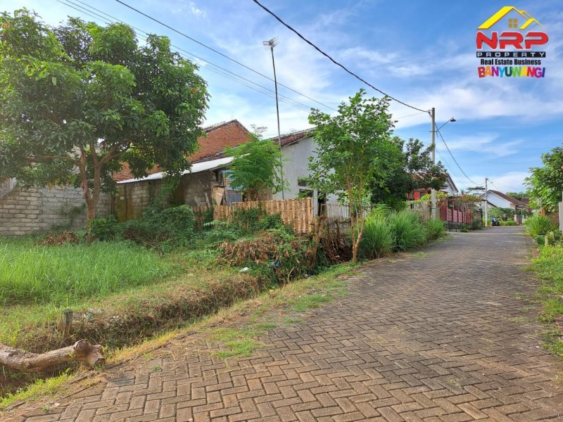 Dijual Tanah Murah Siap Bangun di Kalipuro - Banyuwangi  Dijual Tanah Murah Siap Bangun di Kalipuro - Banyuwangi  Dijual Tanah Murah Siap Bangun di Kalipuro - Banyuwangi &nbsp;
Cocok Untuk Hunian , Padat Penduduk. Lingkungan Asri, Nyaman dan Aman.

Luas Tanah : 86 NRP BANYUWANGI