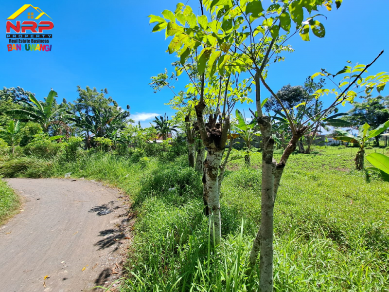 Dijual Tanah Murah Siap Bangun di Kertosari Banyuwangi  Dijual Tanah Murah Siap Bangun di Kertosari Banyuwangi  Dijual Tanah Murah Siap Bangun di Kertosari Banyuwangi&nbsp;
Cocok untuk perumahan, gudang, industri dll.&nbsp;
Berada dikawasan perumahan yang padat NRP BANYUWANGI