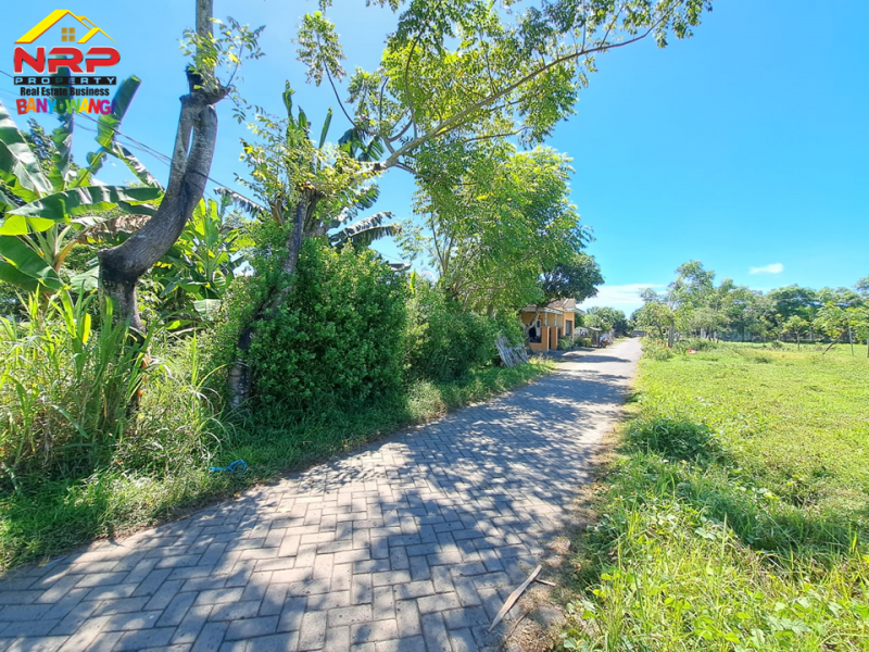 Dijual Tanah Murah Siap Bangun di Kertosari Banyuwangi  Dijual Tanah Murah Siap Bangun di Kertosari Banyuwangi  Dijual Tanah Murah Siap Bangun di Kertosari Banyuwangi&nbsp;
Cocok untuk perumahan, gudang, industri dll.&nbsp;
Berada dikawasan perumahan yang padat NRP BANYUWANGI