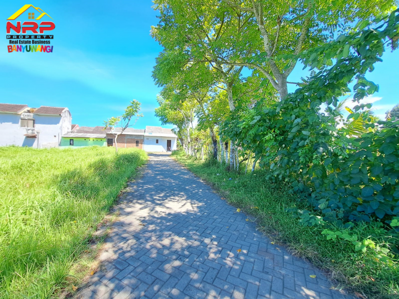 Dijual Tanah Murah Siap Bangun di Kertosari Banyuwangi  Dijual Tanah Murah Siap Bangun di Kertosari Banyuwangi  Dijual Tanah Murah Siap Bangun di Kertosari Banyuwangi&nbsp;
Cocok untuk perumahan, gudang, industri dll.&nbsp;
Berada dikawasan perumahan yang padat NRP BANYUWANGI