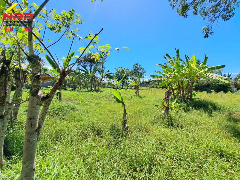 Dijual Tanah Murah Siap Bangun di Kertosari Banyuwangi  Dijual Tanah Murah Siap Bangun di Kertosari Banyuwangi  Dijual Tanah Murah Siap Bangun di Kertosari Banyuwangi&nbsp;
Cocok untuk perumahan, gudang, industri dll.&nbsp;
Berada dikawasan perumahan yang padat NRP BANYUWANGI