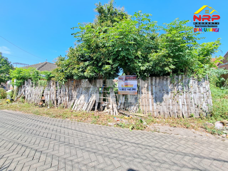 Dijual Tanah Murah Siap Bangun di Lateng, Banyuwangi  Dijual Tanah Siap Bangun di Lateng, Banyuwangi  Dijual Tanah Siap Bangun di Lateng, Banyuwangi&nbsp;
Terletak di Pusat Kota, Dekat dengan Pantai Ancol Banyuwangi, Pasar Sritanjung

Luas Tanah : 286 NRP BANYUWANGI