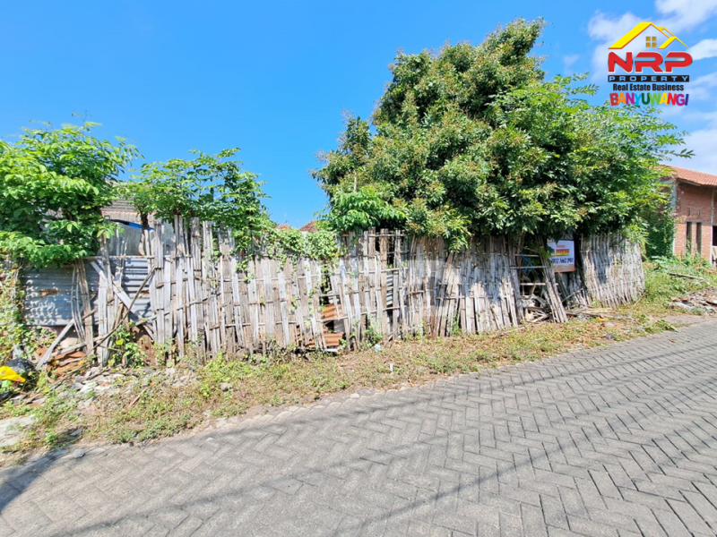 Dijual Tanah Murah Siap Bangun di Lateng, Banyuwangi  Dijual Tanah Siap Bangun di Lateng, Banyuwangi  Dijual Tanah Siap Bangun di Lateng, Banyuwangi&nbsp;
Terletak di Pusat Kota, Dekat dengan Pantai Ancol Banyuwangi, Pasar Sritanjung

Luas Tanah : 286 NRP BANYUWANGI