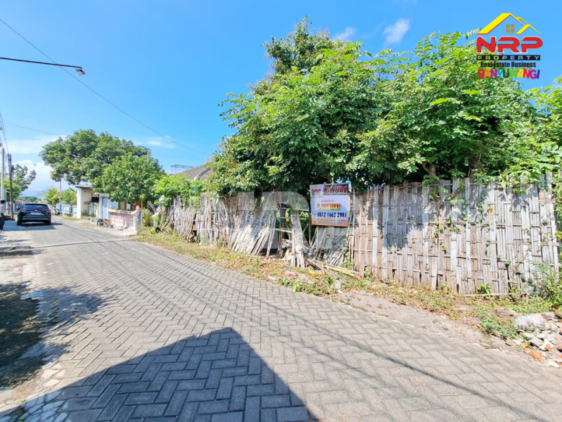 Dijual Tanah Murah Siap Bangun di Lateng, Banyuwangi  Dijual Tanah Siap Bangun di Lateng, Banyuwangi  Dijual Tanah Siap Bangun di Lateng, Banyuwangi&nbsp;
Terletak di Pusat Kota, Dekat dengan Pantai Ancol Banyuwangi, Pasar Sritanjung

Luas Tanah : 286 NRP BANYUWANGI
