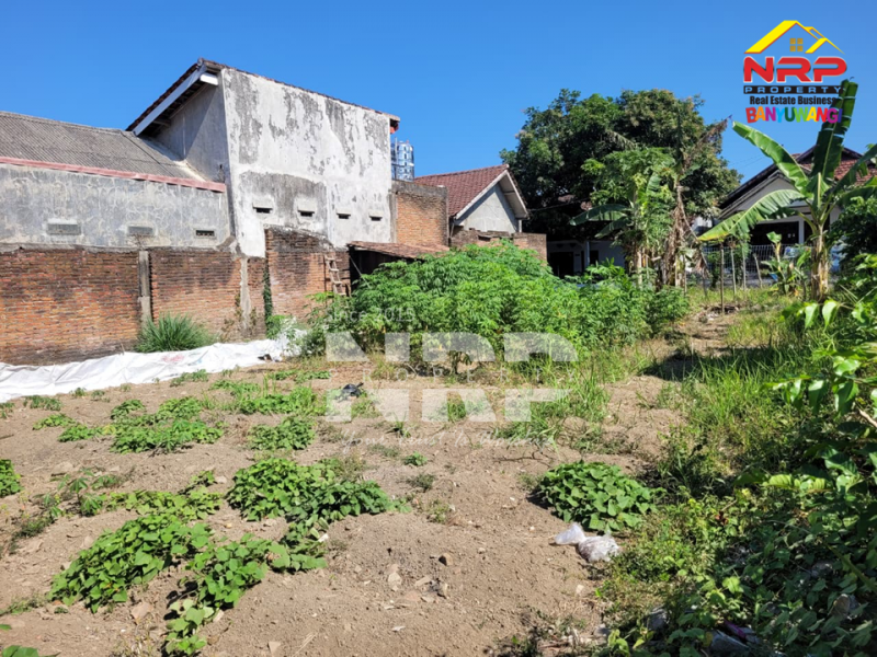 Dijual Tanah Murah Siap Bangun Hook di Tamanbaru Banyuwangi  Dijual Tanah Murah Siap Bangun Hook di Tamanbaru Banyuwangi  Dijual Tanah Murah Siap Bangun Hook di Tamanbaru Banyuwangi&nbsp;
Cocok untuk Rumah Tinggal / Homestay, cafe dll.&nbsp;
Dekat dengan Fasilitas Pendidikan, NRP BANYUWANGI
