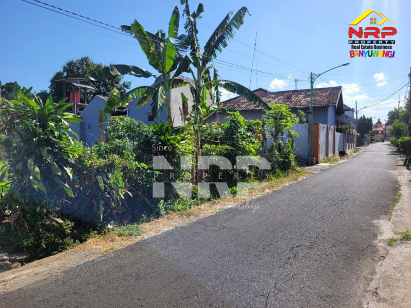 Dijual Tanah Murah Siap Bangun Hook di Tamanbaru Banyuwangi  Dijual Tanah Murah Siap Bangun Hook di Tamanbaru Banyuwangi  Dijual Tanah Murah Siap Bangun Hook di Tamanbaru Banyuwangi&nbsp;
Cocok untuk Rumah Tinggal / Homestay, cafe dll.&nbsp;
Dekat dengan Fasilitas Pendidikan, NRP BANYUWANGI