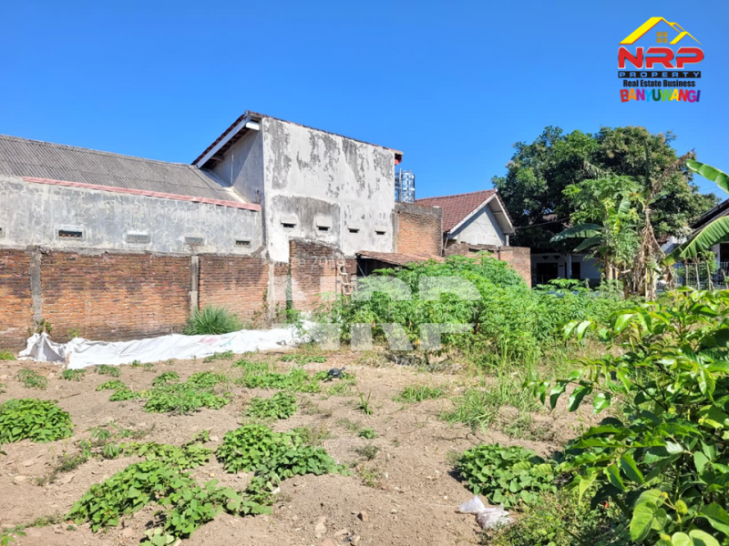 Dijual Tanah Murah Siap Bangun Hook di Tamanbaru Banyuwangi  Dijual Tanah Murah Siap Bangun Hook di Tamanbaru Banyuwangi  Dijual Tanah Murah Siap Bangun Hook di Tamanbaru Banyuwangi&nbsp;
Cocok untuk Rumah Tinggal / Homestay, cafe dll.&nbsp;
Dekat dengan Fasilitas Pendidikan, NRP BANYUWANGI