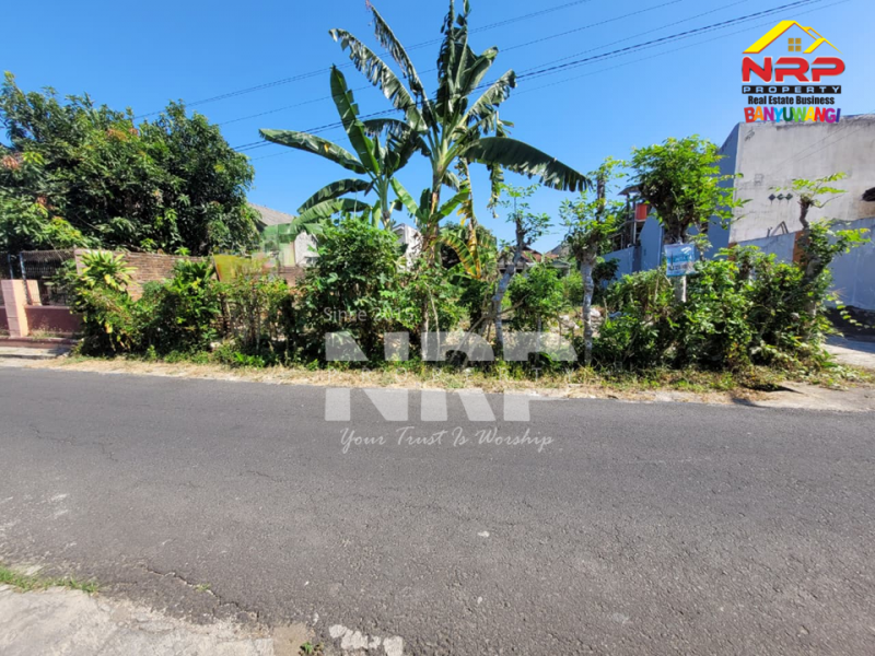 Dijual Tanah Murah Siap Bangun Hook di Tamanbaru Banyuwangi  Dijual Tanah Murah Siap Bangun Hook di Tamanbaru Banyuwangi  Dijual Tanah Murah Siap Bangun Hook di Tamanbaru Banyuwangi&nbsp;
Cocok untuk Rumah Tinggal / Homestay, cafe dll.&nbsp;
Dekat dengan Fasilitas Pendidikan, NRP BANYUWANGI