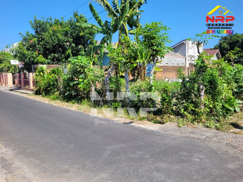 Dijual Tanah Murah Siap Bangun Hook di Tamanbaru Banyuwangi  Dijual Tanah Murah Siap Bangun Hook di Tamanbaru Banyuwangi  Dijual Tanah Murah Siap Bangun Hook di Tamanbaru Banyuwangi&nbsp;
Cocok untuk Rumah Tinggal / Homestay, cafe dll.&nbsp;
Dekat dengan Fasilitas Pendidikan, NRP BANYUWANGI
