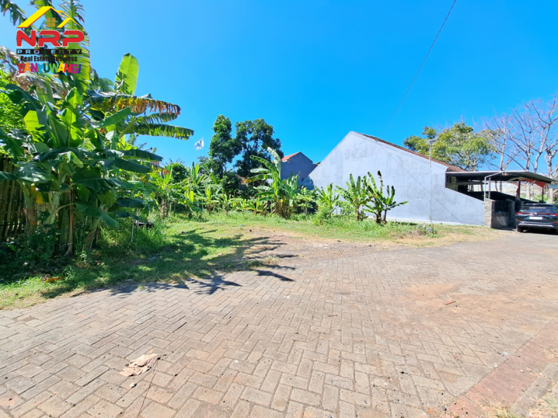 Dijual Tanah Murah Strategis di Belakang Kantor Kelurahan Tamanbaru - Banyuwangi  Dijual Tanah Murah Strategis di Belakang Kantor Kelurahan Tamanbaru - Banyuwangi  Dijual Tanah Murah Strategis di Belakang Kantor Kelurahan Tamanbaru - Banyuwangi&nbsp;
Dekat dengan RTH Tamanbaru, Belakang Pemda Banyuwangi.&nbsp;

Luas NRP BANYUWANGI