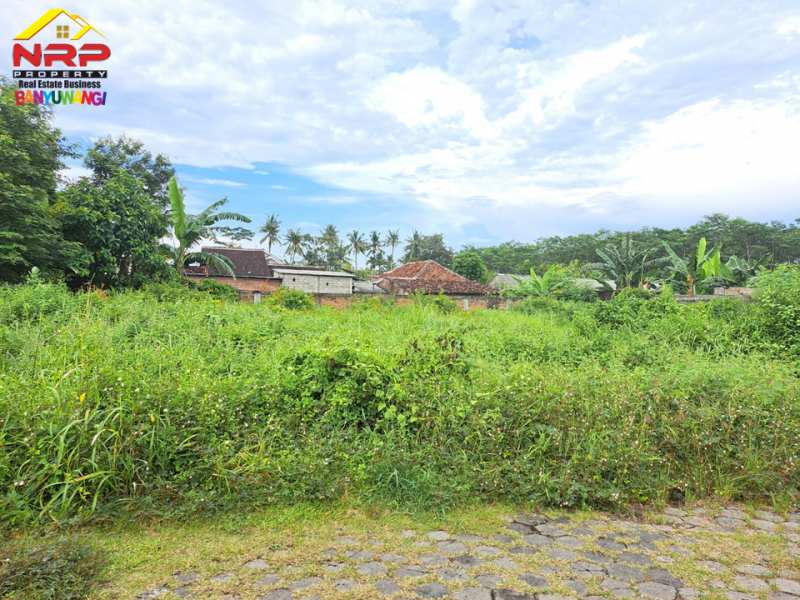 Dijual Tanah Murah Strategis di Belakang Santika Banyuwangi Dijual Tanah Murah Strategis di Belakang Santika Banyuwangi Dijual Tanah Murah Strategis di Belakang Santika Banyuwangi
Berada dipusat kota banyuwangi. Dekat dengan Fasilitas pendidikan dan Bisnis Komersil&nbsp;
Cocok NRP BANYUWANGI