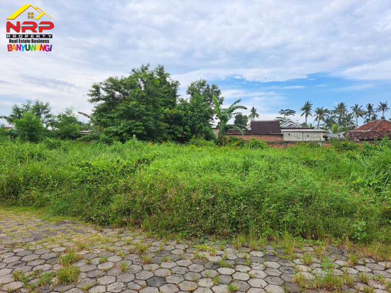 Dijual Tanah Murah Strategis di Belakang Santika Banyuwangi Dijual Tanah Murah Strategis di Belakang Santika Banyuwangi Dijual Tanah Murah Strategis di Belakang Santika Banyuwangi
Berada dipusat kota banyuwangi. Dekat dengan Fasilitas pendidikan dan Bisnis Komersil&nbsp;
Cocok NRP BANYUWANGI