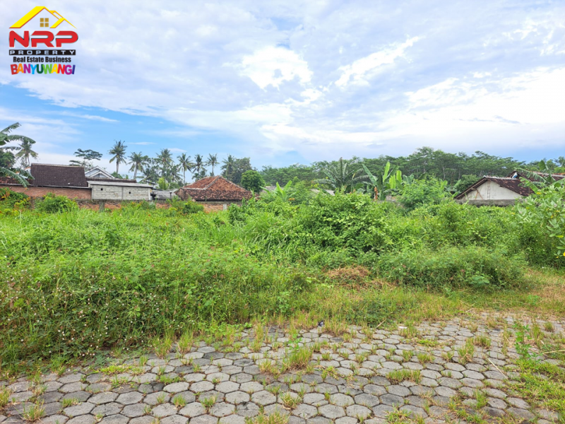 Dijual Tanah Murah Strategis di Belakang Santika Banyuwangi Dijual Tanah Murah Strategis di Belakang Santika Banyuwangi Dijual Tanah Murah Strategis di Belakang Santika Banyuwangi
Berada dipusat kota banyuwangi. Dekat dengan Fasilitas pendidikan dan Bisnis NRP BANYUWANGI