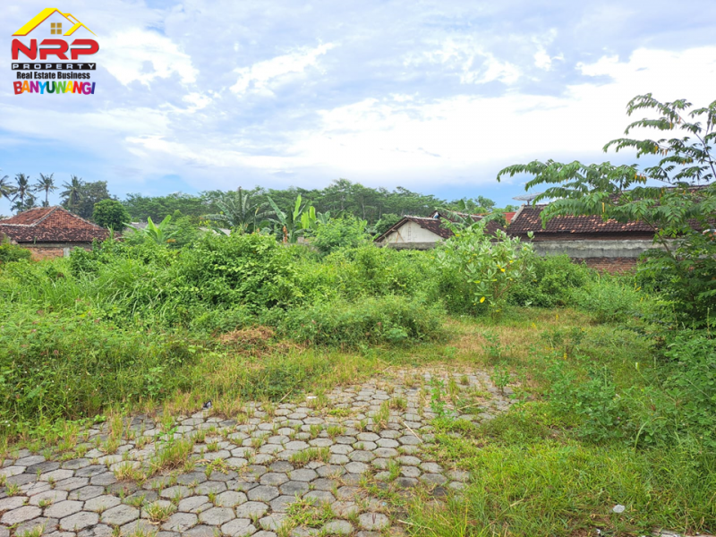 Dijual Tanah Murah Strategis di Belakang Santika Banyuwangi Dijual Tanah Murah Strategis di Belakang Santika Banyuwangi Dijual Tanah Murah Strategis di Belakang Santika Banyuwangi
Berada dipusat kota banyuwangi. Dekat dengan Fasilitas pendidikan dan Bisnis NRP BANYUWANGI
