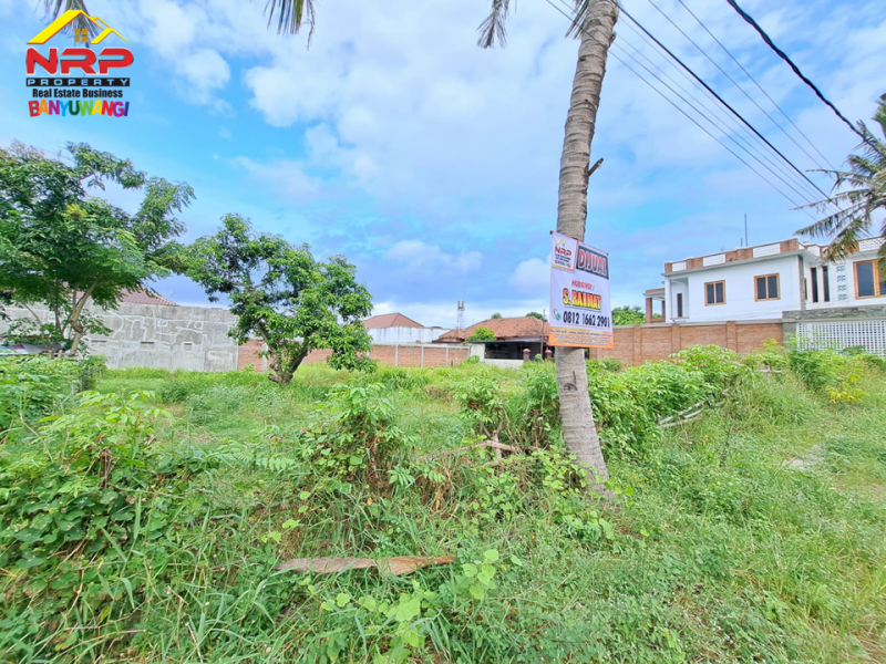 Dijual Tanah Murah Strategis di Dekat Kampus Unair Banyuwangi  Dijual Tanah Murah Strategis di Dekat Kampus Unair Banyuwangi  Dijual Tanah Strategis Hook di Belakang Kantor Pusat Info Geologi Geopark Ijen - Banyuwangi
50 Meter dari Jl. Gajah Mada, Berada di kawasan pendidikan ternama NRP BANYUWANGI