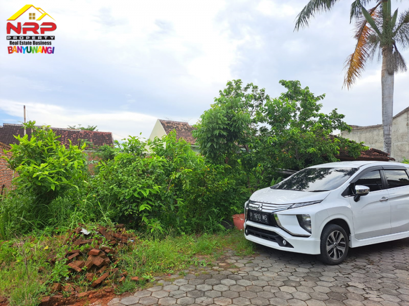 Dijual Tanah Murah Strategis di Perum. Taman Indah Sutri- Banyuwangi  Dijual Tanah Murah Strategis di Perum. Taman Indah Sutri- Banyuwangi  Dijual Tanah Murah Strategis di Perum. Taman Indah Sutri- Banyuwangi&nbsp;
Berada dipusat kota banyuwangi. Dekat dengan Fasilitas pendidikan dan Bisnis NRP BANYUWANGI