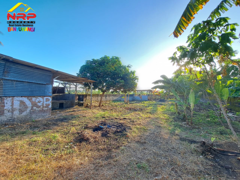 Dijual Tanah Murah  Strategis di Tepi Jl. Sobo - Banyuwangi Dijual Tanah Strategis di Tepi Jl. Sobo - Banyuwangi Dijual Tanah Strategis di Tepi Jl. Sobo - Banyuwangi
Berada dikawasan Perumahan, Sangat Cocok untuk Hunian, Gudang, Toko, Butik, Ruko

Luas Tanah : 595 NRP BANYUWANGI