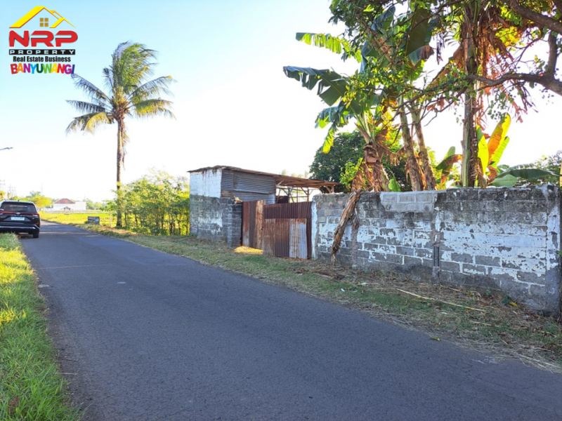 Dijual Tanah Murah  Strategis di Tepi Jl. Sobo - Banyuwangi Dijual Tanah Strategis di Tepi Jl. Sobo - Banyuwangi Dijual Tanah Strategis di Tepi Jl. Sobo - Banyuwangi
Berada dikawasan Perumahan, Sangat Cocok untuk Hunian, Gudang, Toko, Butik, Ruko

Luas Tanah : 595 NRP BANYUWANGI