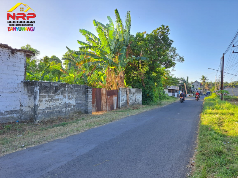 Dijual Tanah Murah  Strategis di Tepi Jl. Sobo - Banyuwangi Dijual Tanah Strategis di Tepi Jl. Sobo - Banyuwangi Dijual Tanah Strategis di Tepi Jl. Sobo - Banyuwangi
Berada dikawasan Perumahan, Sangat Cocok untuk Hunian, Gudang, Toko, Butik, Ruko

Luas Tanah : 595 NRP BANYUWANGI
