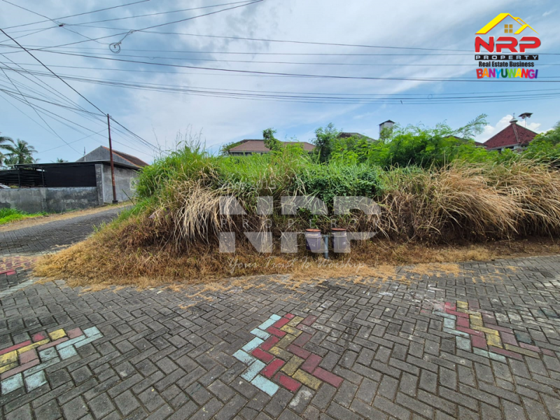 Dijual Tanah Murah Under 100 Juta Siap Bangun di Perum. Griya Dadapan Indah Banyuwangi  Dijual Tanah Murah Under 100 Juta Siap Bangun di Perum. Griya Dadapan Indah Banyuwangi  Dijual Tanah Murah Under 100 Juta Siap Bangun di Perum. Griya Dadapan Indah Banyuwangi&nbsp;
Lokasi Sangat Strategis di Depan Hotel Kokoon NRP BANYUWANGI