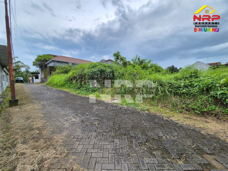 Dijual Tanah Murah Under 100 Juta Siap Bangun di Perum. Griya Dadapan Indah Banyuwangi  Dijual Tanah Murah Under 100 Juta Siap Bangun di Perum. Griya Dadapan Indah Banyuwangi  Dijual Tanah Murah Under 100 Juta Siap Bangun di Perum. Griya Dadapan Indah Banyuwangi&nbsp;
Lokasi Sangat Strategis di Depan Hotel Kokoon NRP BANYUWANGI