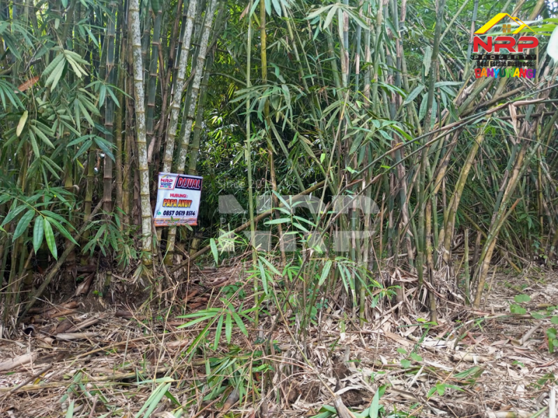 Dijual Tanah Murah Under 100 Jutaan di Tegalsari Banyuwangi  Jual tanah 100 jutaan di Tegalsari Genteng Banyuwangi  Dijual Tanah Murah Under 100 Jutaan di Tegalsari Banyuwangi&nbsp;
500 meter dari Jl. Jendral Sudirman Tegalsari.&nbsp;

Luas Tanah 275 NRP BANYUWANGI