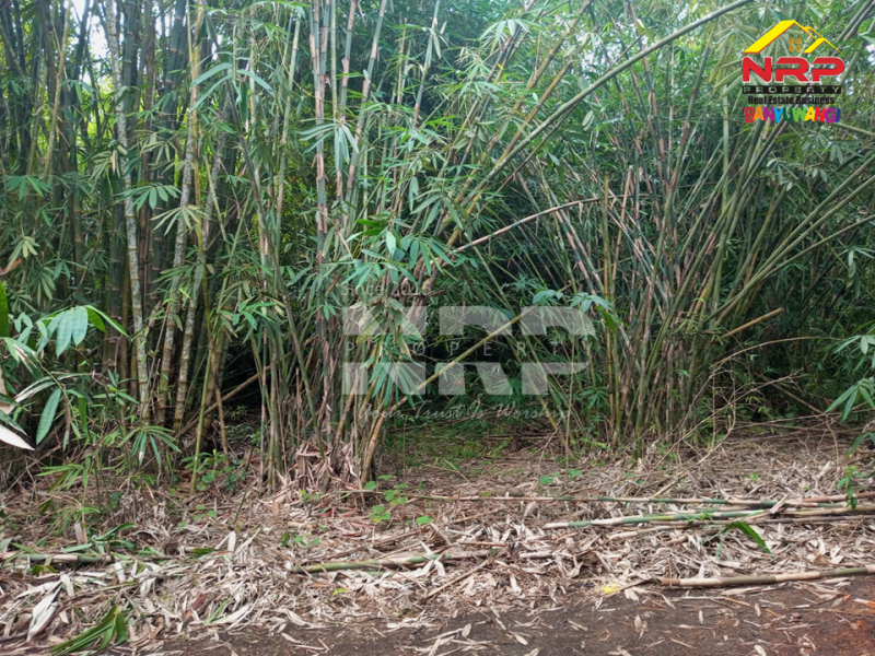 Dijual Tanah Murah Under 100 Jutaan di Tegalsari Banyuwangi  Jual tanah 100 jutaan di Tegalsari Genteng Banyuwangi  Dijual Tanah Murah Under 100 Jutaan di Tegalsari Banyuwangi&nbsp;
500 meter dari Jl. Jendral Sudirman Tegalsari.&nbsp;

Luas Tanah 275 NRP BANYUWANGI