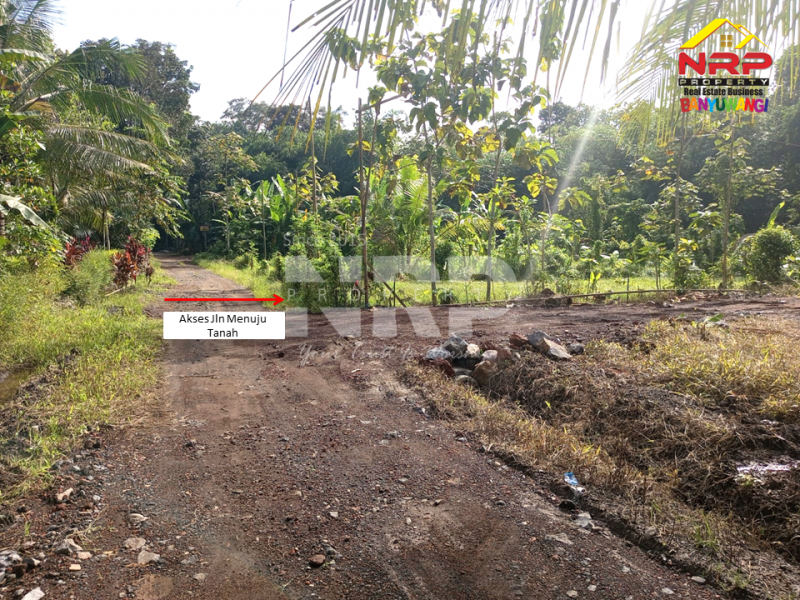 Dijual Tanah Murah Under 100 Jutaan di Tegalsari Banyuwangi  Jual tanah 100 jutaan di Tegalsari Genteng Banyuwangi  Dijual Tanah Murah Under 100 Jutaan di Tegalsari Banyuwangi&nbsp;
500 meter dari Jl. Jendral Sudirman Tegalsari.&nbsp;

Luas Tanah 275 NRP BANYUWANGI