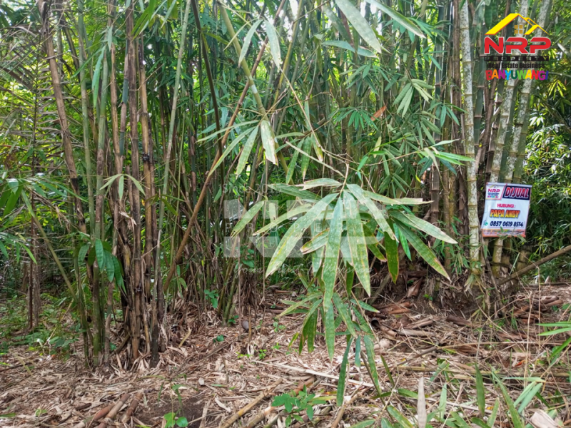 Dijual Tanah Murah Under 100 Jutaan di Tegalsari Banyuwangi  Jual tanah 100 jutaan di Tegalsari Genteng Banyuwangi  Dijual Tanah Murah Under 100 Jutaan di Tegalsari Banyuwangi&nbsp;
500 meter dari Jl. Jendral Sudirman Tegalsari.&nbsp;

Luas Tanah 275 NRP BANYUWANGI