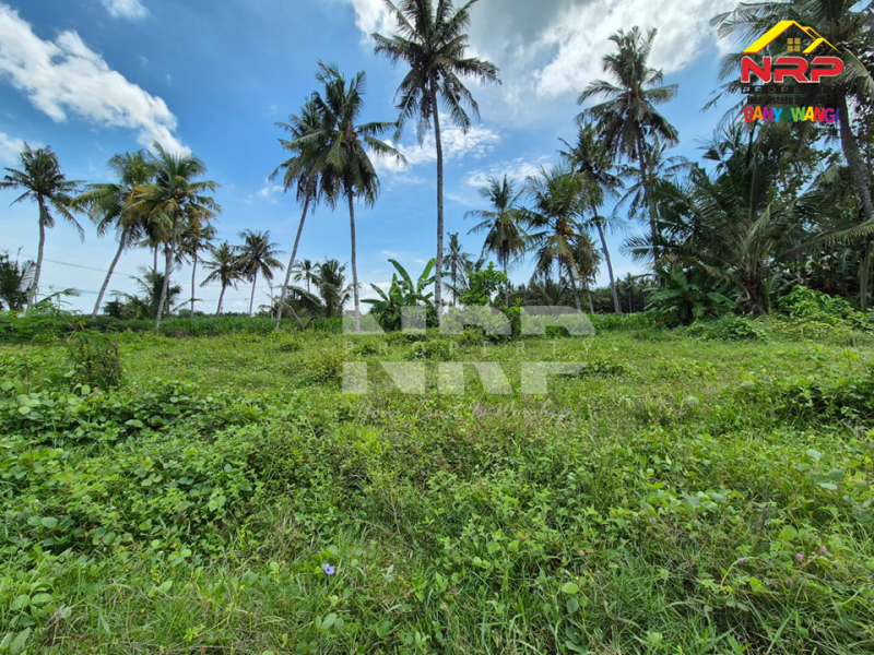 Dijual Tanah Murah Under 100jt di tepi Jl. Watukebo - Banyuwangi  Dijual Tanah Murah Under 100jt di tepi Jl. Watukebo - Banyuwangi  Dijual Tanah Murah Under 100jt di tepi Jl. Watukebo - Banyuwangi&nbsp;
Tepi Jalan Lintas Selatan Banyuwangi.&nbsp;
Sangat Cocok hunian dll&nbsp;

Luas NRP BANYUWANGI