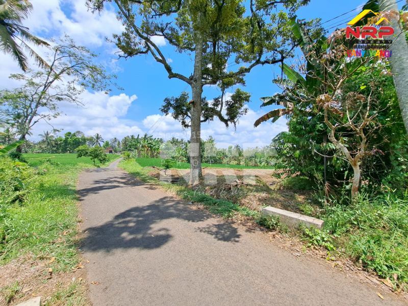 Dijual Tanah Persawahan di Desa Licin - Banyuwangi  Dijual Tanah Persawahan di Desa Licin - Banyuwangi  Dijual Tanah Persawahan di Desa Licin - Banyuwangi&nbsp;
0 Meter Jl. Desa Aspal, Bersebelahan dengan Teras Hotel & Kampung Joglo
View Terasiring sawa dan NRP BANYUWANGI