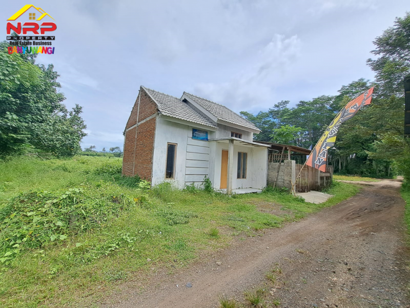 Dijual Tanah Perumahan Strategis  di Desa Wisata Gintangan - Banyuwangi  Dijual Tanah Perumahan Strategis  di Desa Wisata Gintangan - Banyuwangi  Dijual Tanah Perumahan Strategis&nbsp; di Desa Wisata Gintangan - Banyuwangi&nbsp;
Terdapat Bangunan Rumah Percontohan 1 Unit.&nbsp;
Dekat dengan Fasilitas NRP BANYUWANGI