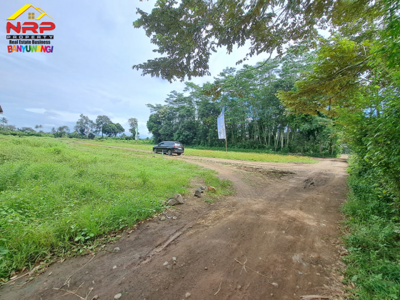 Dijual Tanah Perumahan Strategis  di Desa Wisata Gintangan - Banyuwangi  Dijual Tanah Perumahan Strategis  di Desa Wisata Gintangan - Banyuwangi  Dijual Tanah Perumahan Strategis&nbsp; di Desa Wisata Gintangan - Banyuwangi&nbsp;
Terdapat Bangunan Rumah Percontohan 1 Unit.&nbsp;
Dekat dengan Fasilitas NRP BANYUWANGI
