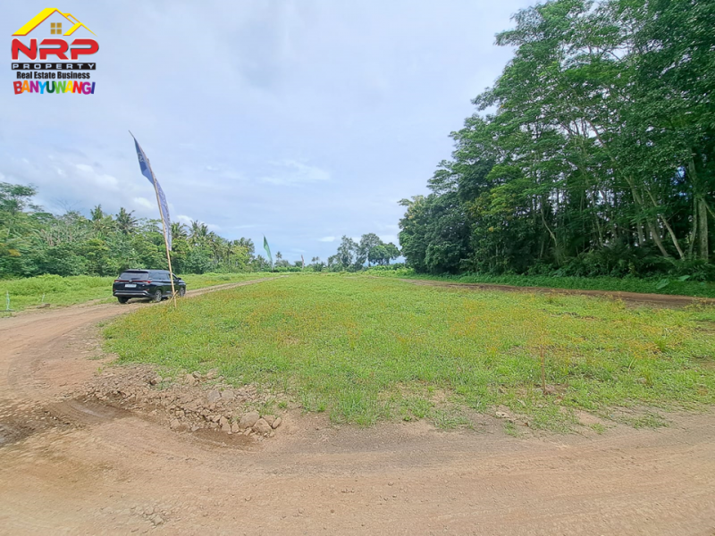 Dijual Tanah Perumahan Strategis  di Desa Wisata Gintangan - Banyuwangi  Dijual Tanah Perumahan Strategis  di Desa Wisata Gintangan - Banyuwangi  Dijual Tanah Perumahan Strategis&nbsp; di Desa Wisata Gintangan - Banyuwangi&nbsp;
Terdapat Bangunan Rumah Percontohan 1 Unit.&nbsp;
Dekat dengan Fasilitas NRP BANYUWANGI