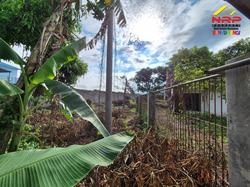 Dijual Tanah Premium dan Prospek Di Kebalenan - Banyuwangi  Dijual Tanah Premium dan Prospek Di Kebalenan - Banyuwangi  Dijual Tanah Premium dan Prospek Di Tepi Jalan Brawijaya Banyuwangi
Lokasi Di Ruas Jalan Double W Brawijaya.Dekat dengan fasilitas pendidikan, perbelanjaan, NRP BANYUWANGI