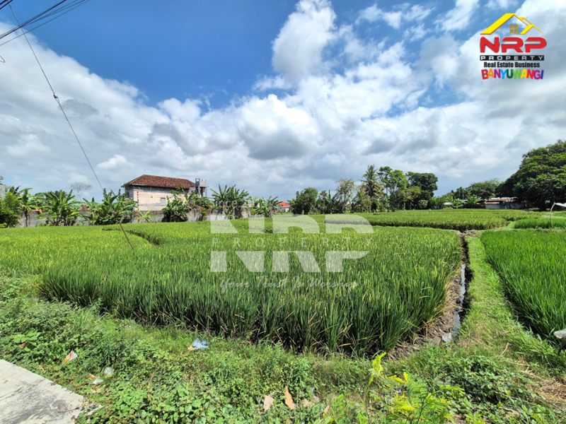Dijual Tanah Premium dan Prospek Di Tepi Jalan Brawijaya Banyuwangi Dijual Tanah Premium dan Prospek Di Tepi Jalan Brawijaya Banyuwangi Dijual Tanah Premium dan Prospek Di Tepi Jalan Brawijaya Banyuwangi
Lokasi Di Ruas Jalan Double W Brawijaya.Depan hotel aston Banyuwangi.&nbsp;
Dekat dengan NRP BANYUWANGI