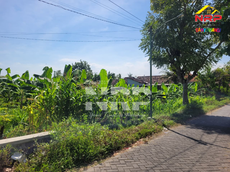 Dijual tanah produktif di Kertosari - Banyuwangi  Dijual tanah produktif di Kertosari - Banyuwangi  Dijual tanah produktif di Kertosari - Banyuwangi&nbsp;
Berada di tengah kota, lahan subur, akses jalan sudah ada.&nbsp;

LT. 2.000 NRP BANYUWANGI