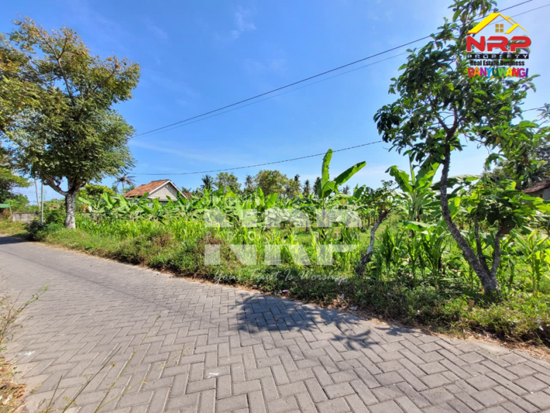 Dijual tanah produktif di Kertosari - Banyuwangi  Dijual tanah produktif di Kertosari - Banyuwangi  Dijual tanah produktif di Kertosari - Banyuwangi&nbsp;
Berada di tengah kota, lahan subur, akses jalan sudah ada.&nbsp;

LT. 2.000 NRP BANYUWANGI