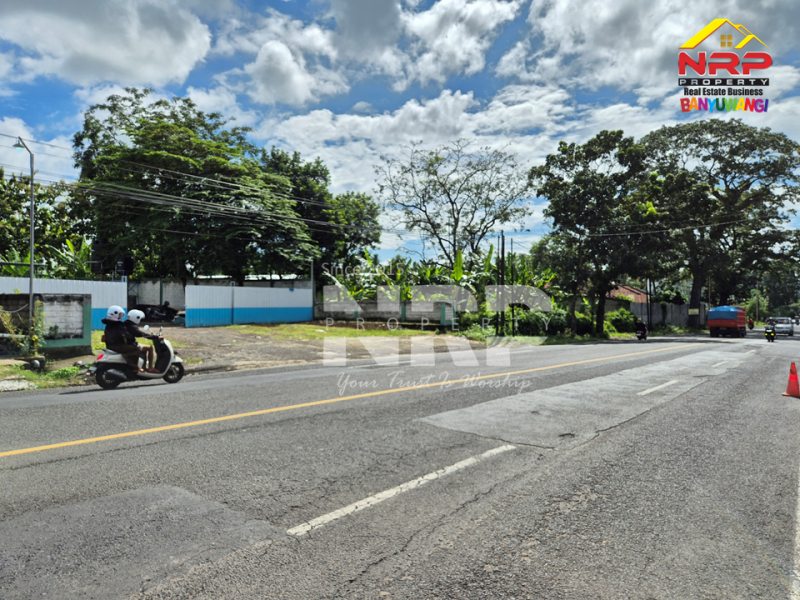 Dijual Tanah Prospek di Kabat - Banyuwangi  Dijual Tanah Prospek di Kabat - Banyuwangi  Dijual Tanah Prospek di Kabat - Banyuwangi&nbsp;
Kesempatan punya lahan di lokasi premium ????. Saat ini sedang disewa oleh SPPG
Dekat dengan RTH dan Dekat NRP BANYUWANGI
