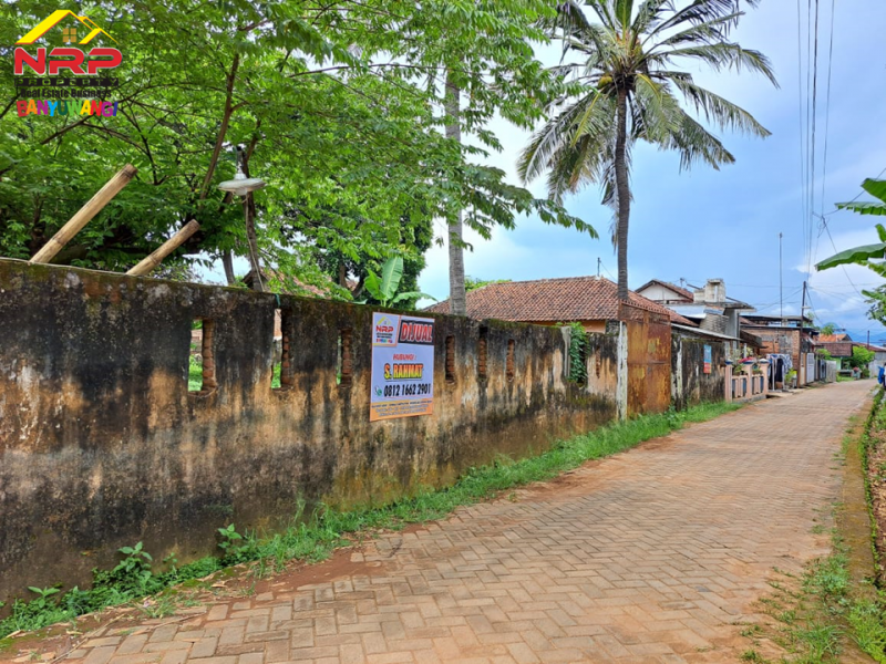 Dijual Tanah Prospek di Kawasan Perhotelan Banyuwangi  Dijual Tanah Prospek di Kawasan Perhotelan Banyuwangi  Dijual Tanah Prospek di Kawasan Perhotelan Banyuwangi&nbsp;
200 Meter dari Jl. Utama Yos Sudarso&nbsp;
Cocok Untuk Investasi atau Pengembangan Kawasan NRP BANYUWANGI